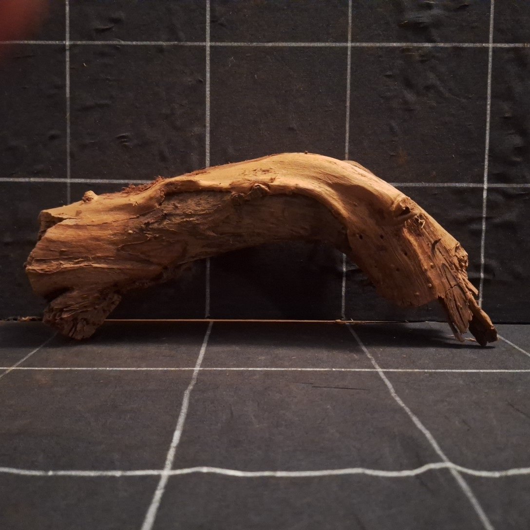 Tuskwood Akvarierot WYSIWYG Äkta Bogwood Unik 30 cm P122623 - obrazek 4