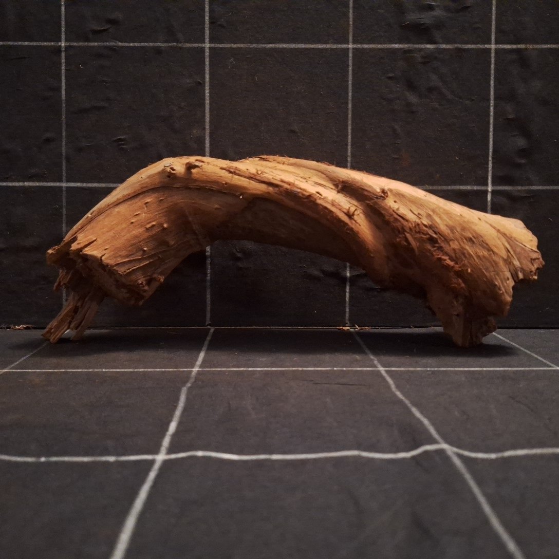 Tuskwood Akvarierot WYSIWYG Äkta Bogwood Unik 30 cm P122623 - obrazek 5