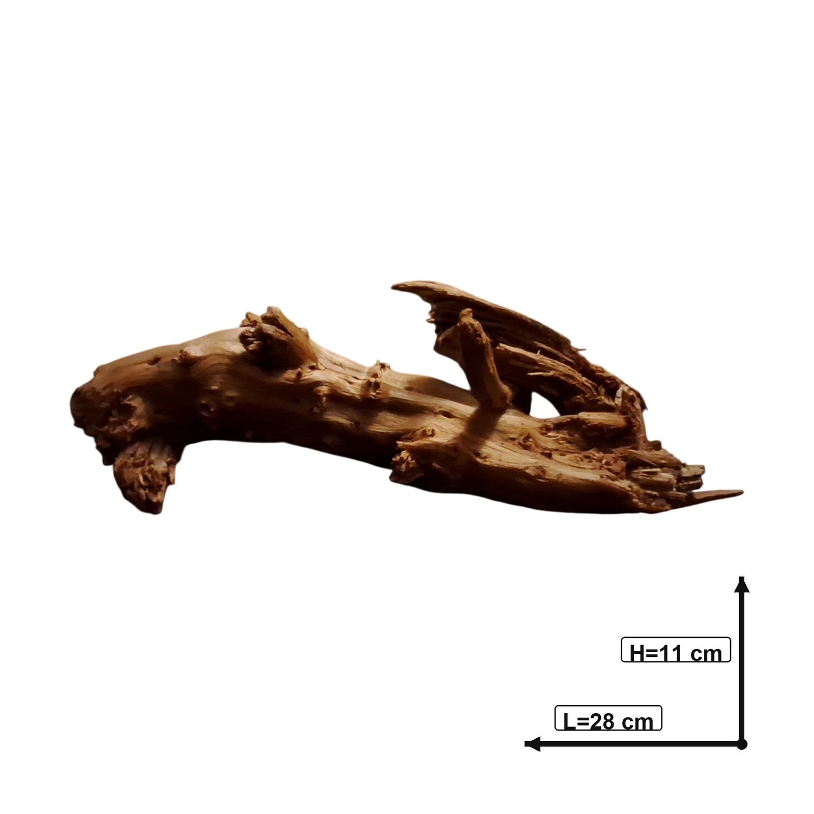 Tuskwood Akvarierot WYSIWYG Äkta Bogwood Unik 28 cm P162623 – Bild 3