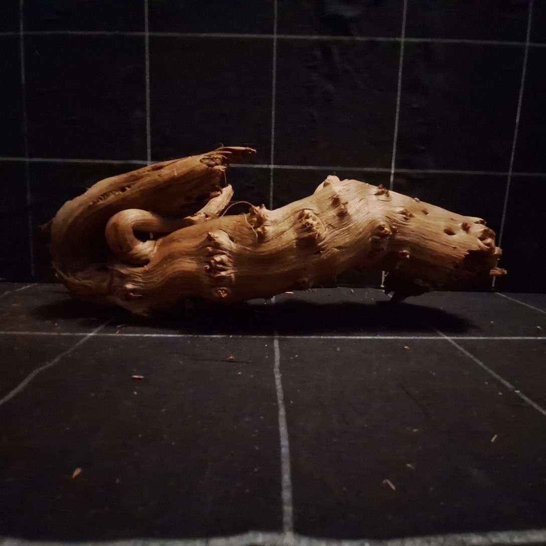 Tuskwood Akvarierot WYSIWYG Äkta Bogwood Unik 28 cm P162623 – Bild 5