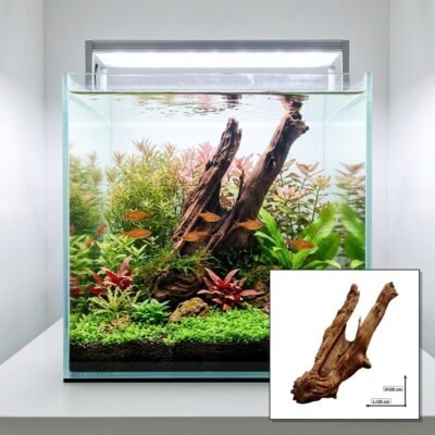 Tuskwood Akvarierod WYSIWYG Ægte Bogwood Unique 26 cm P172623
