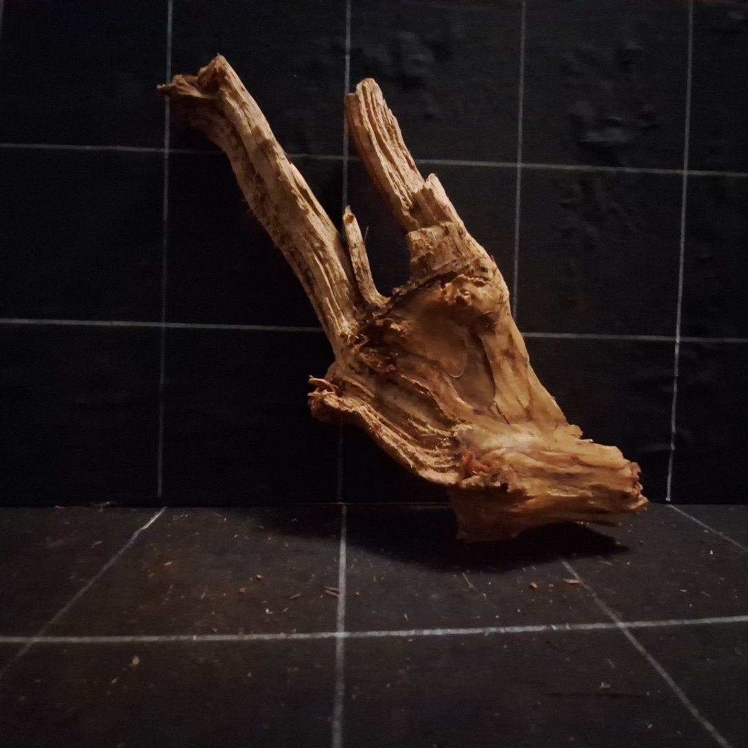 Tuskwood Akvarierot WYSIWYG Äkta Bogwood Unik 26 cm P172623 – Bild 5