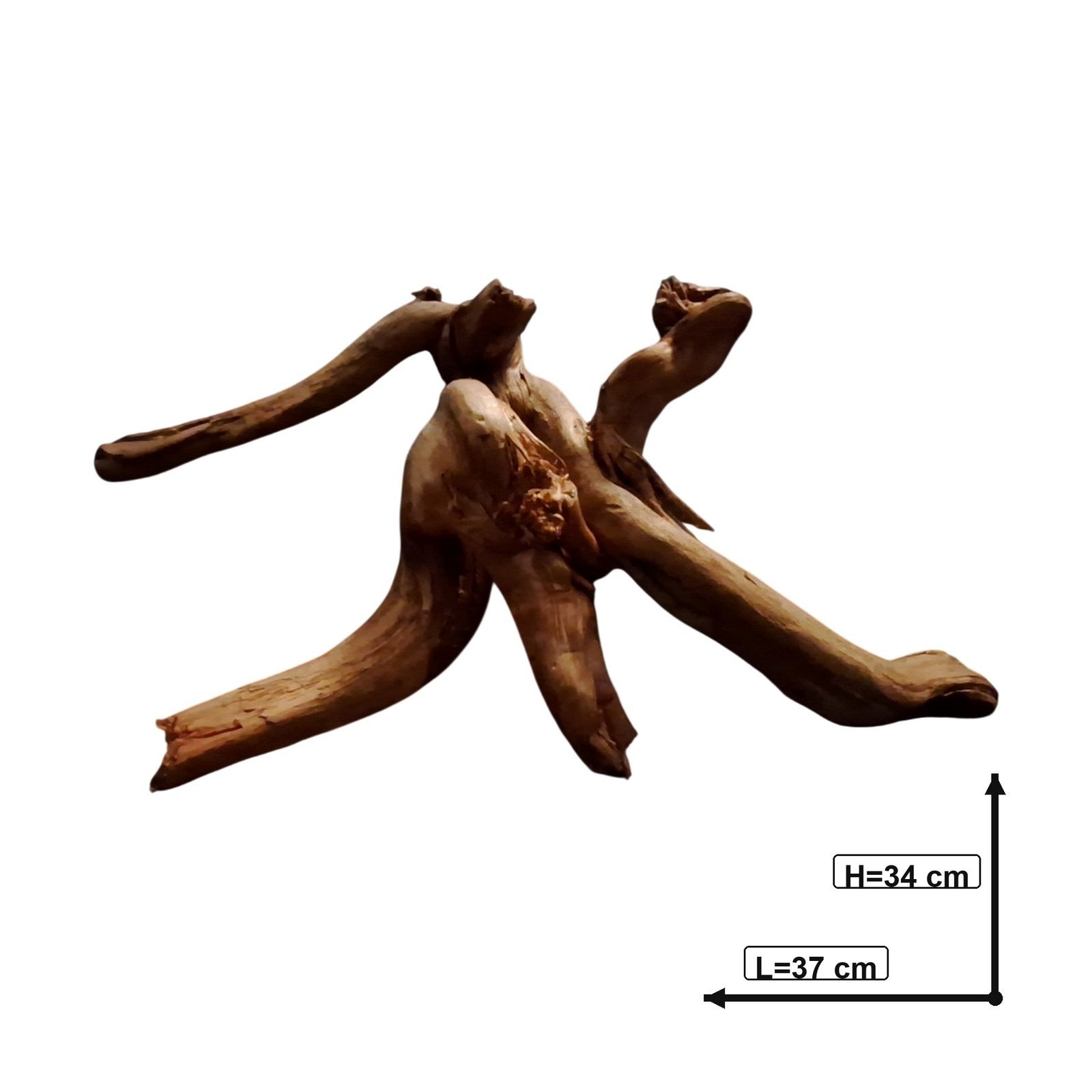 Tuskwood Akvarierot WYSIWYG Äkta Bogwood Unik 37 cm P192623 – Image 3
