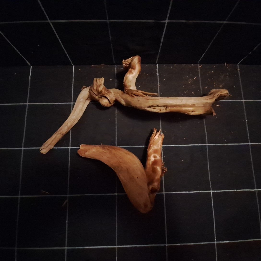 Tuskwood Akvarierot WYSIWYG Äkta Bogwood Unik 37 cm P192623 – Image 6