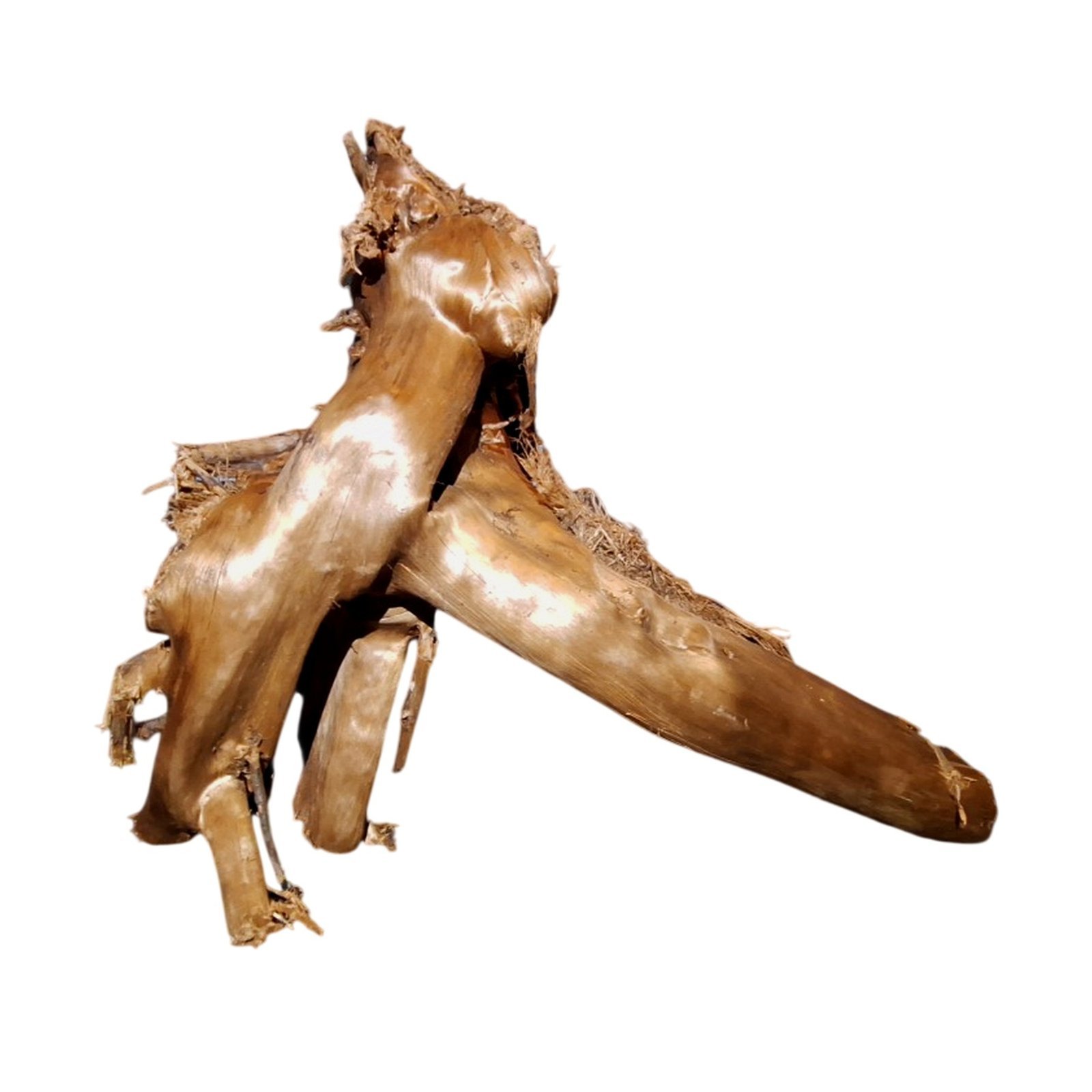 Tuskwood Akvarierot WYSIWYG Äkta Bogwood Unik 44 cm P222623 – Bild 6