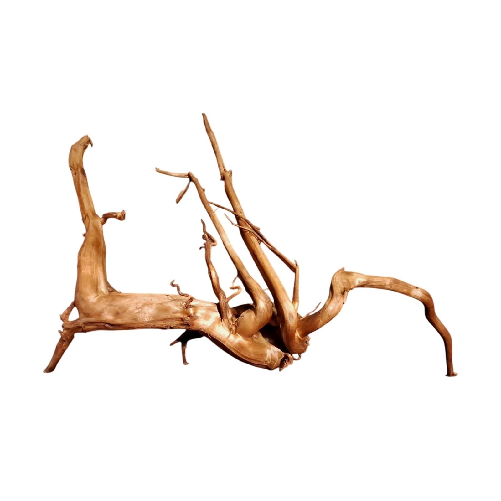 Tuskwood Akvarierot WYSIWYG Äkta Bogwood Unik 69 cm P232623 – Bild 6