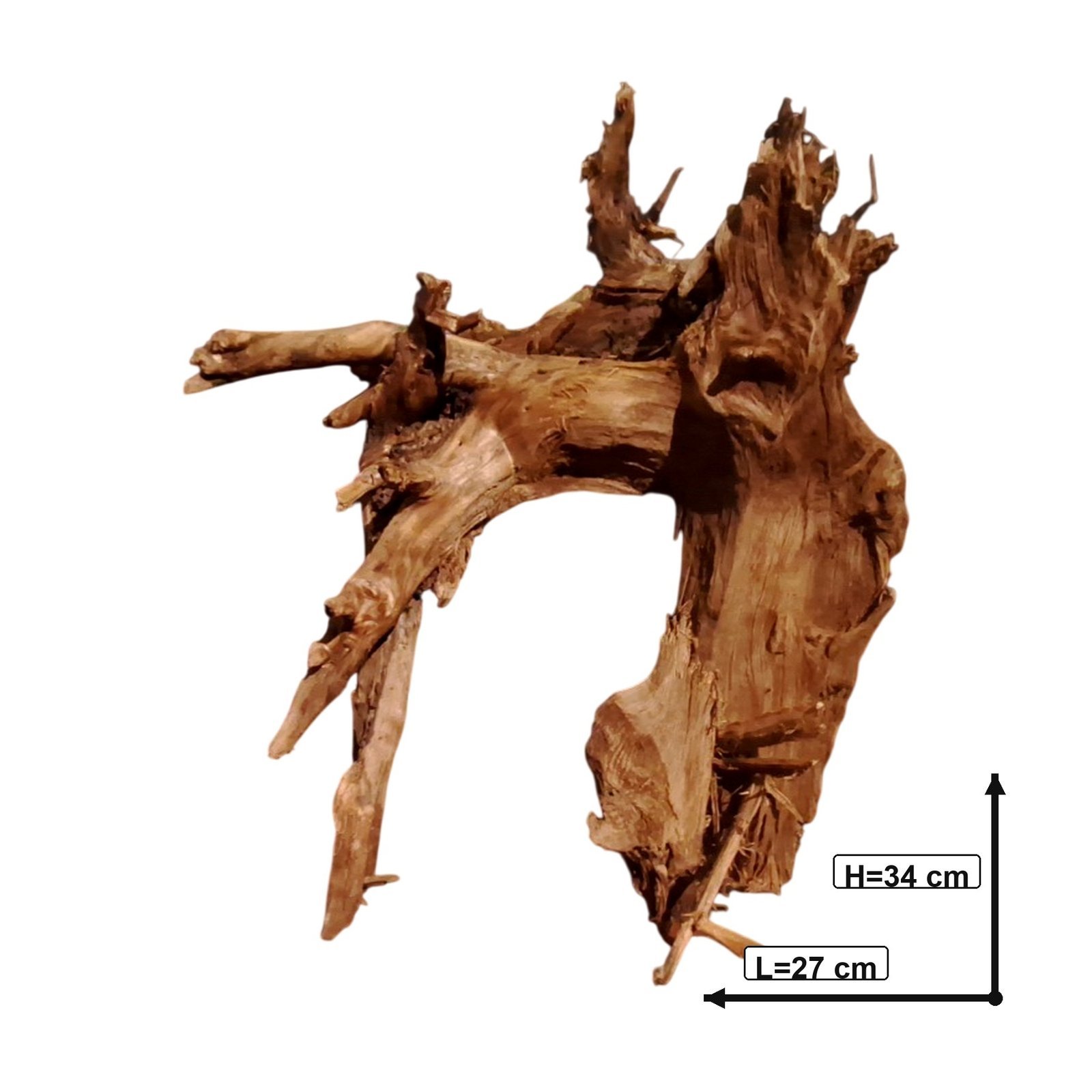 Tuskwood Akvarierot WYSIWYG Äkta Bogwood Unik 34 cm P242623 – Bild 3