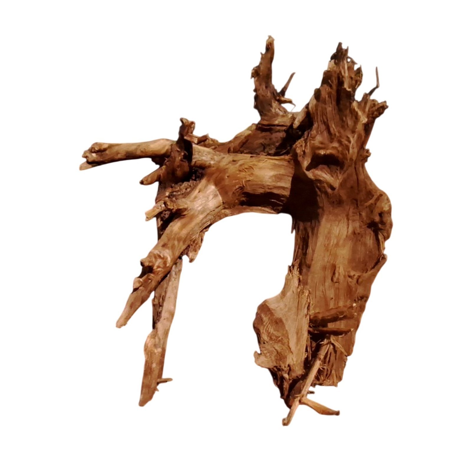 Tuskwood Akvarierot WYSIWYG Äkta Bogwood Unik 34 cm P242623 – Bild 6