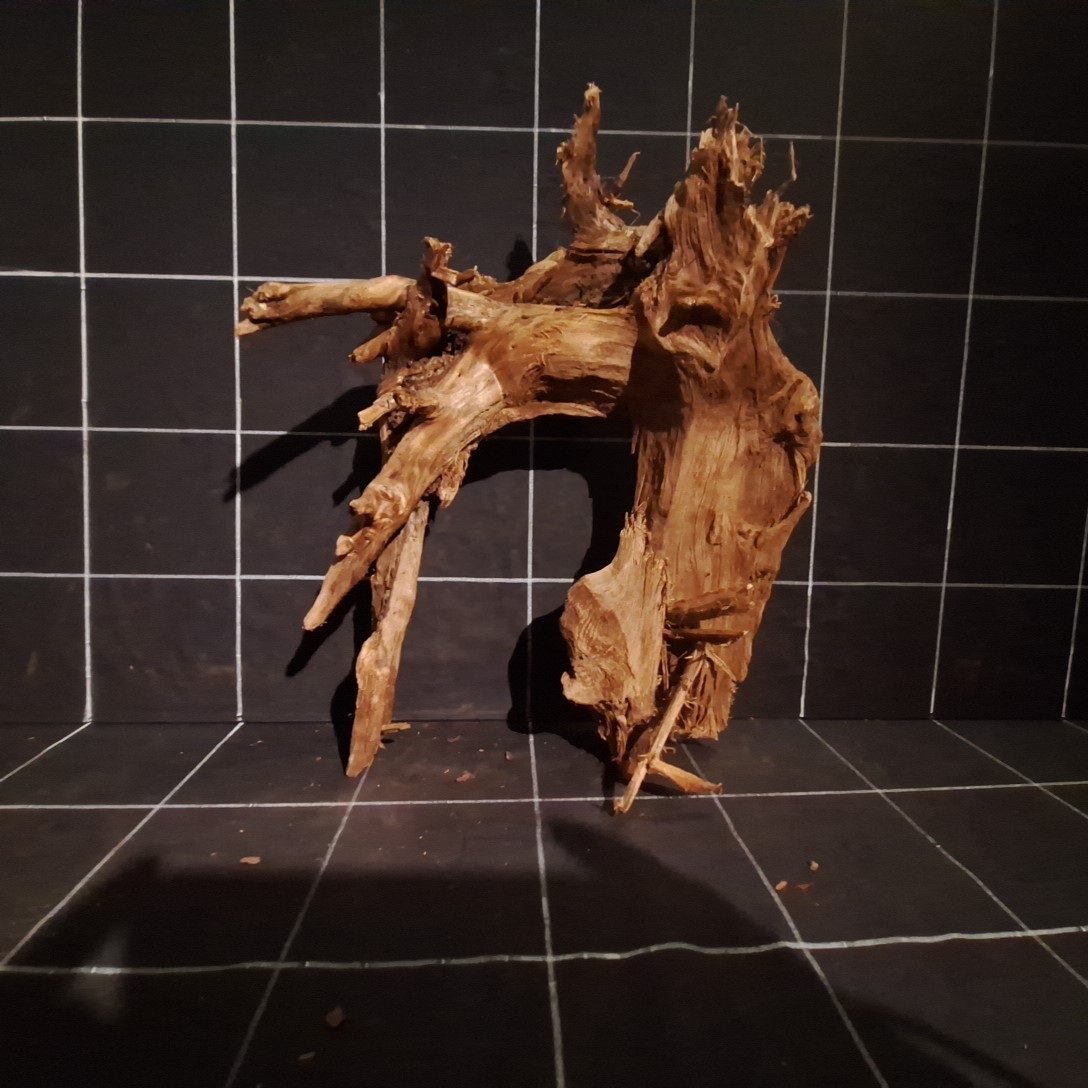 Tuskwood Akvarierot WYSIWYG Äkta Bogwood Unik 34 cm P242623 – Bild 4