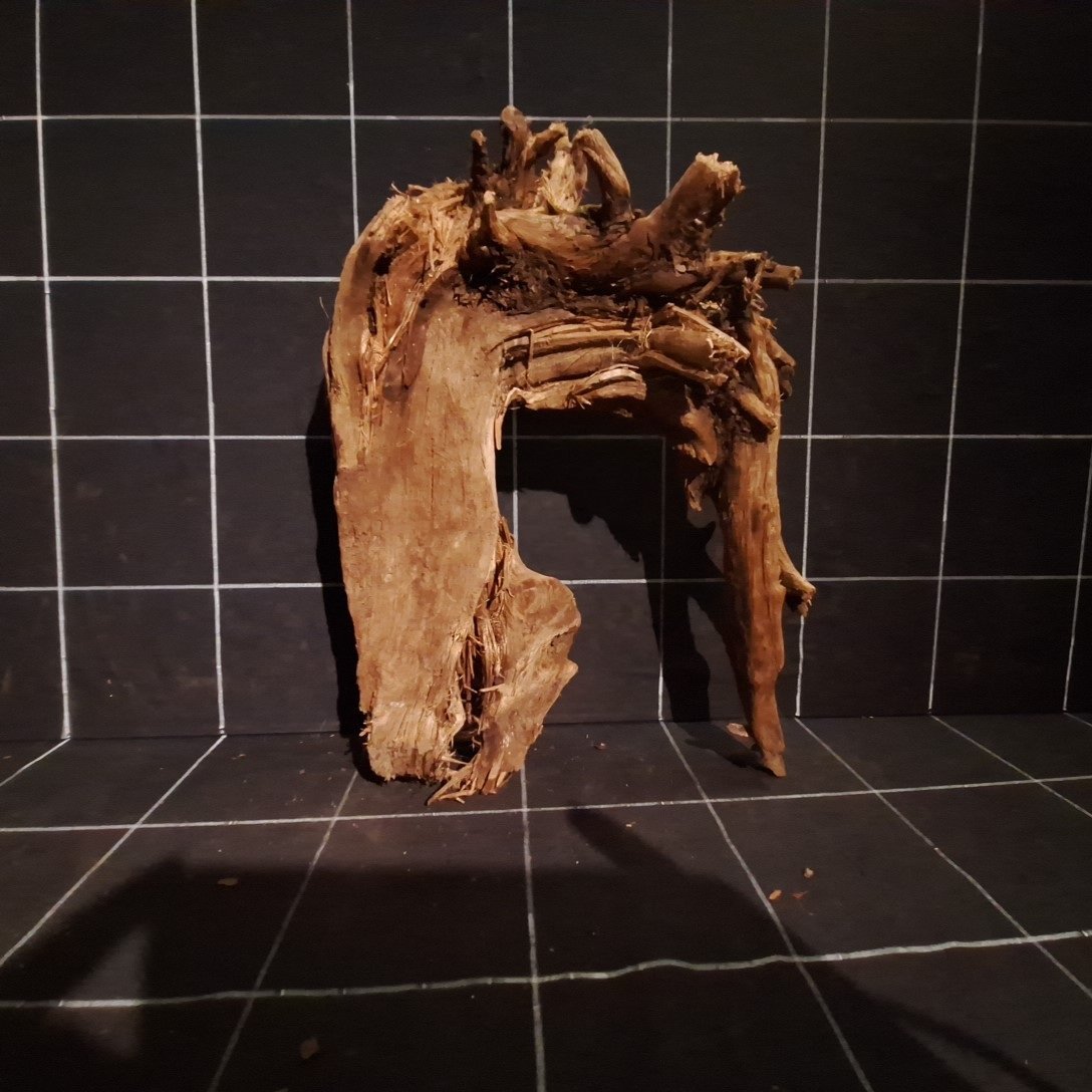 Tuskwood Akvarierot WYSIWYG Äkta Bogwood Unik 34 cm P242623 – Bild 5