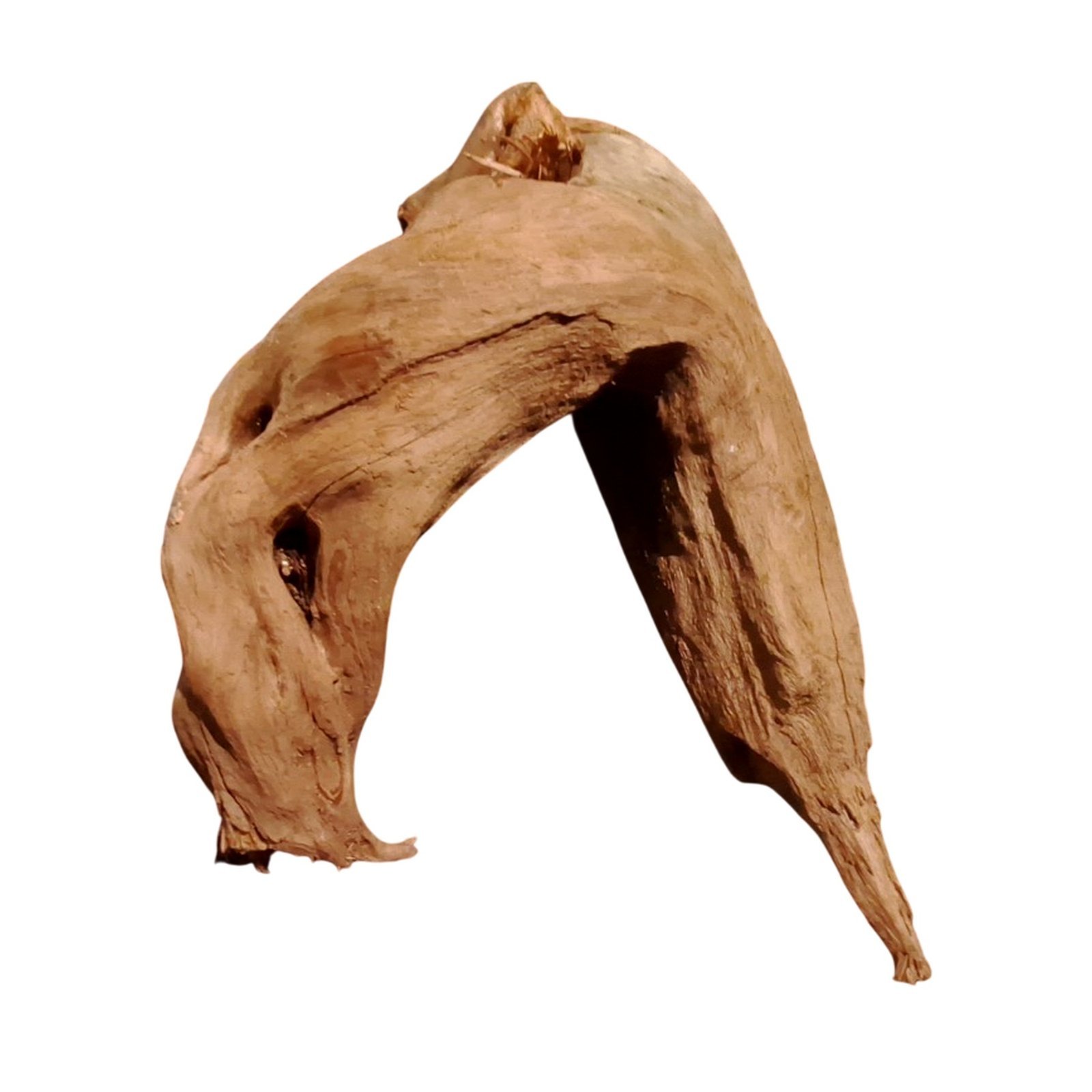 Tuskwood Akvarierot WYSIWYG Äkta Bogwood Unik 41 cm P252623 - obrazek 6