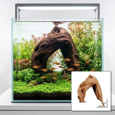Tuskwood Korzeń akwariowy WYSIWYG Genuine Bogwood Unique 41 cm P252623