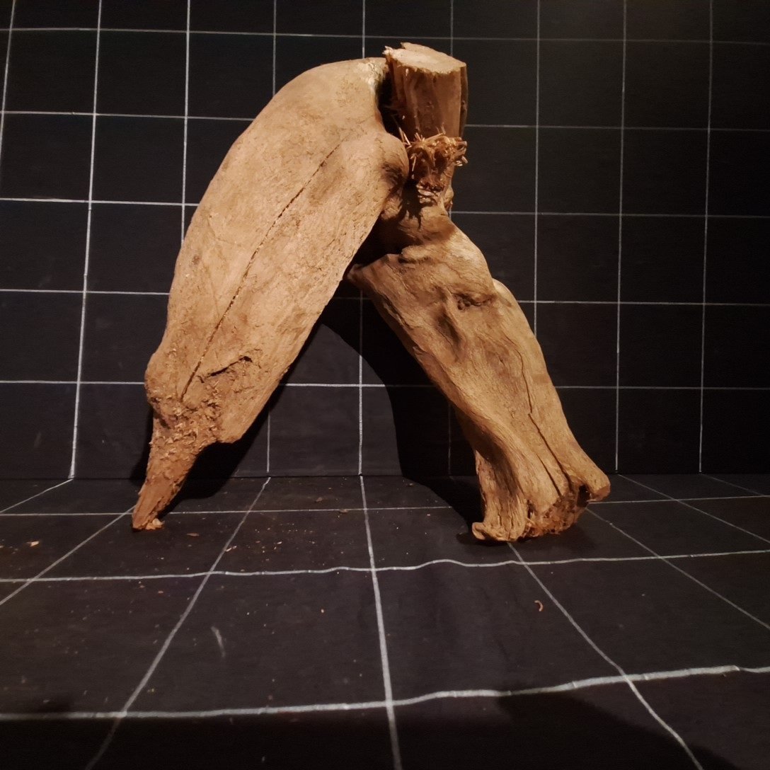 Tuskwood Akvarierot WYSIWYG Äkta Bogwood Unik 41 cm P252623 - obrazek 5