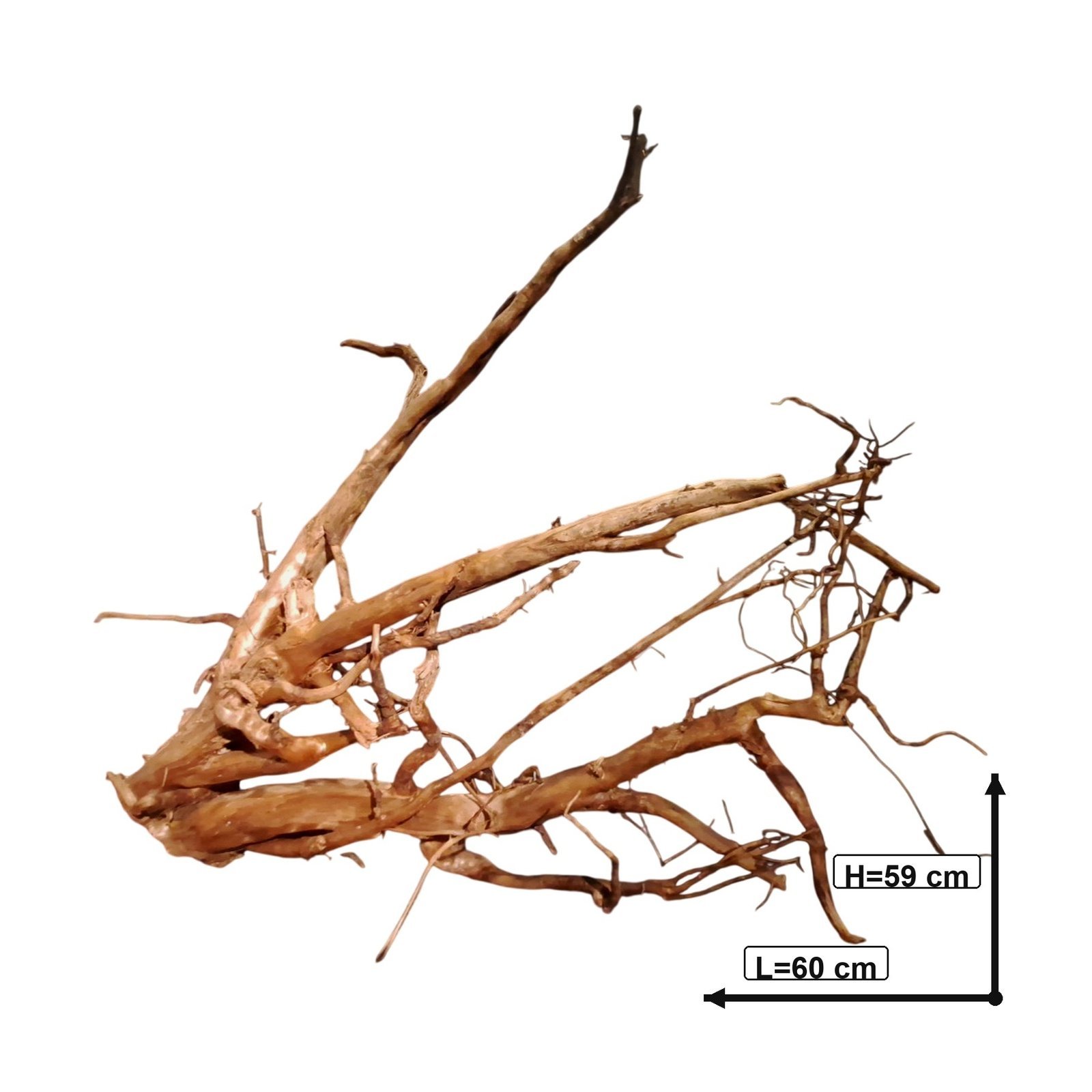 Tuskwood Akvarierot WYSIWYG Äkta Bogwood Unik 60 cm P262623 - Billede 3