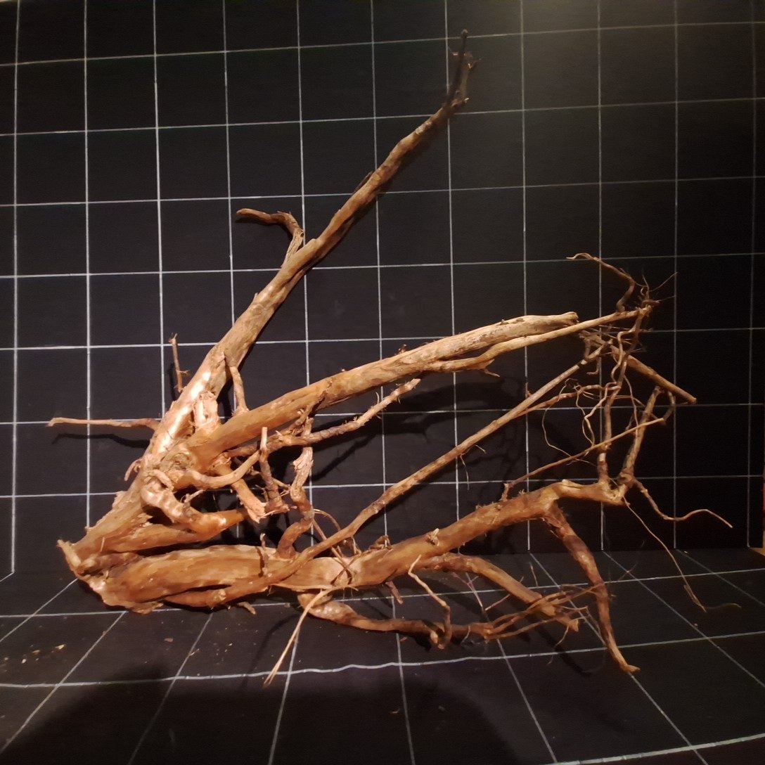 Tuskwood Akvarierot WYSIWYG Äkta Bogwood Unik 60 cm P262623 - Billede 4