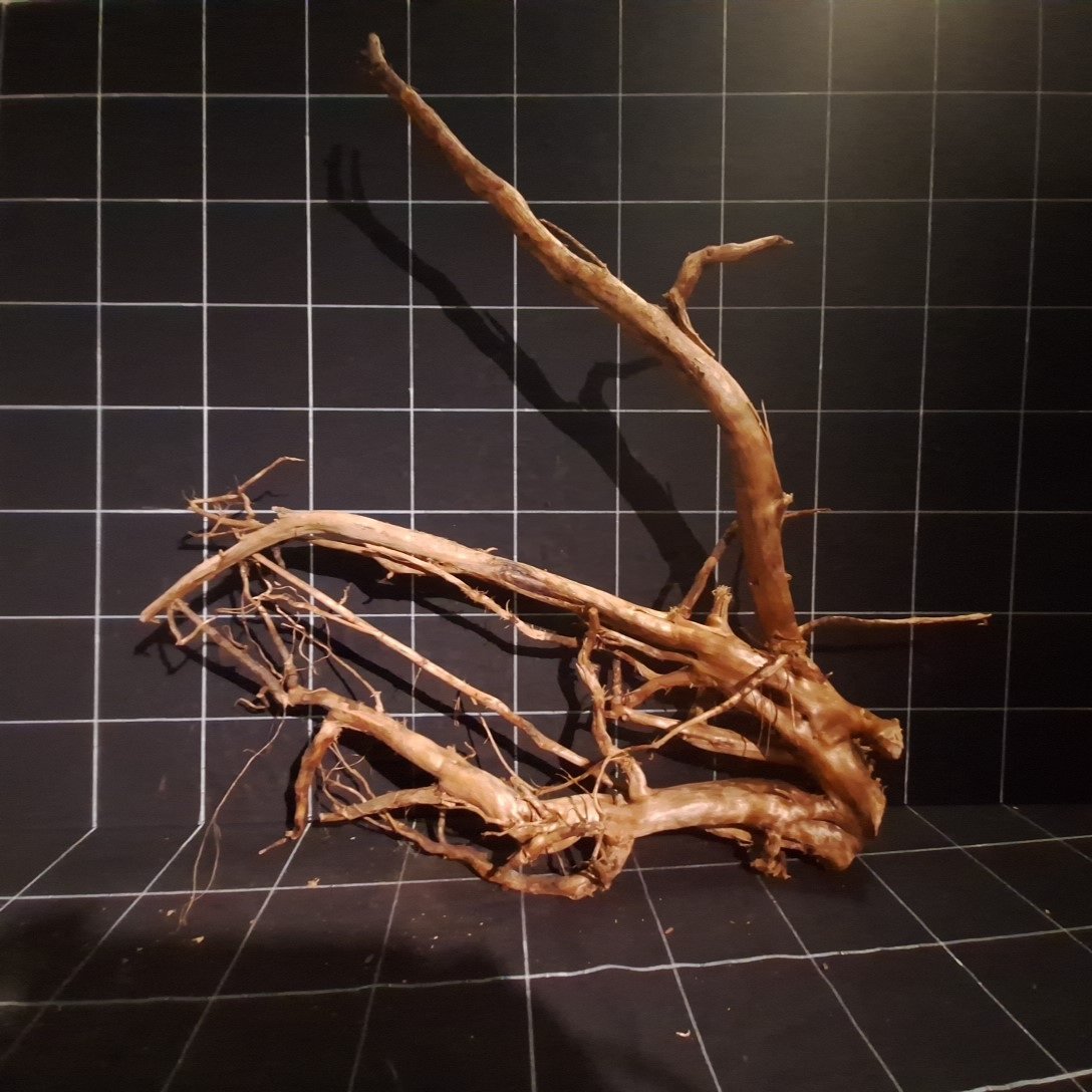 Tuskwood Akvarierot WYSIWYG Äkta Bogwood Unik 60 cm P262623 - Billede 5