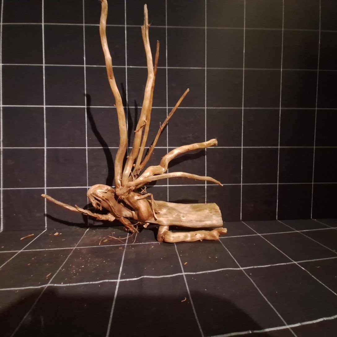 Tuskwood Akvarierot WYSIWYG Äkta Bogwood Unik 44 cm P272623 – Bild 6