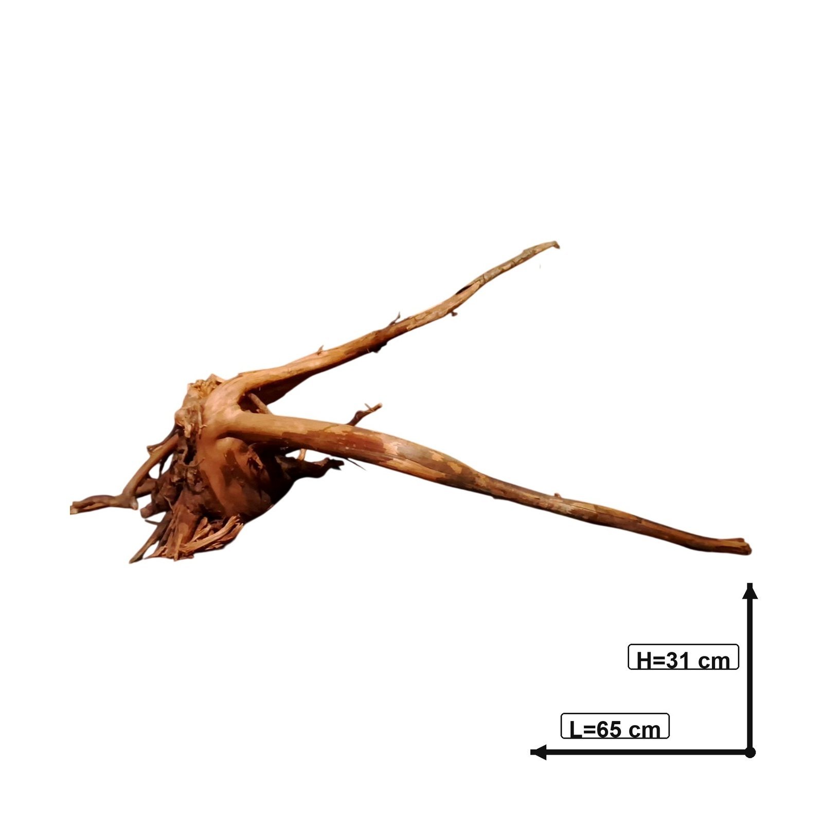 Tuskwood Akvarierot WYSIWYG Äkta Bogwood Unik 65 cm P282623 - Billede 3