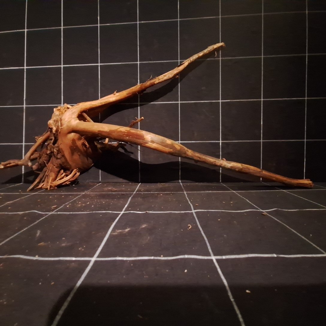Tuskwood Akvarierot WYSIWYG Äkta Bogwood Unik 65 cm P282623 - Billede 4