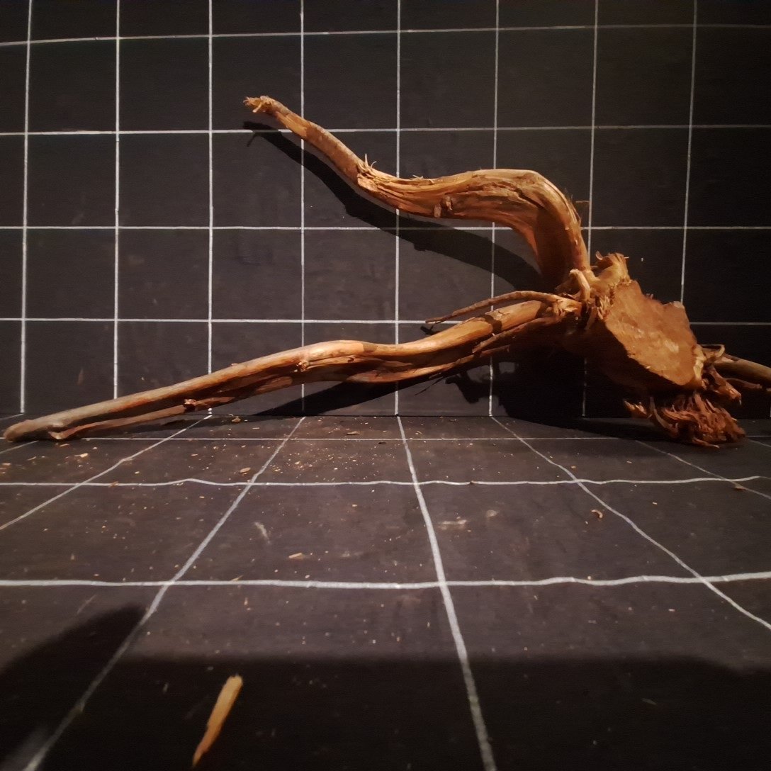 Tuskwood Akvarierot WYSIWYG Äkta Bogwood Unik 65 cm P282623 - Billede 5