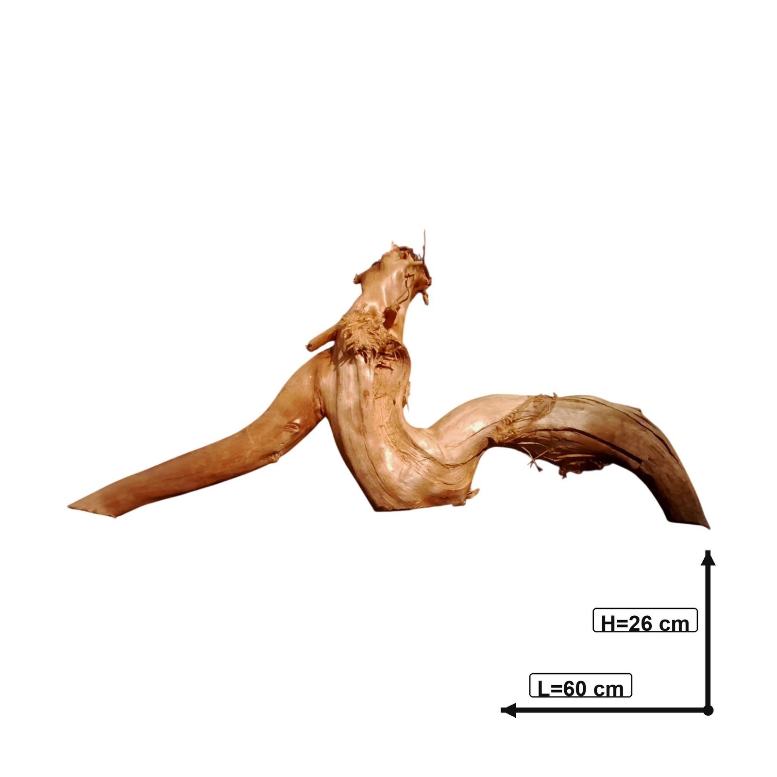 Tuskwood Akvarierot WYSIWYG Äkta Bogwood Unik 60 cm P292623 - Bild 3