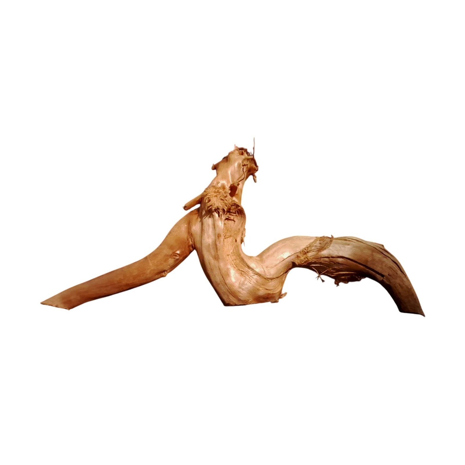 Tuskwood Akvarierot WYSIWYG Äkta Bogwood Unik 60 cm P292623 - Bild 6