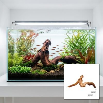 Tuskwood Aquarium Root WYSIWYG Genuine Bogwood Unique 60 cm P292623