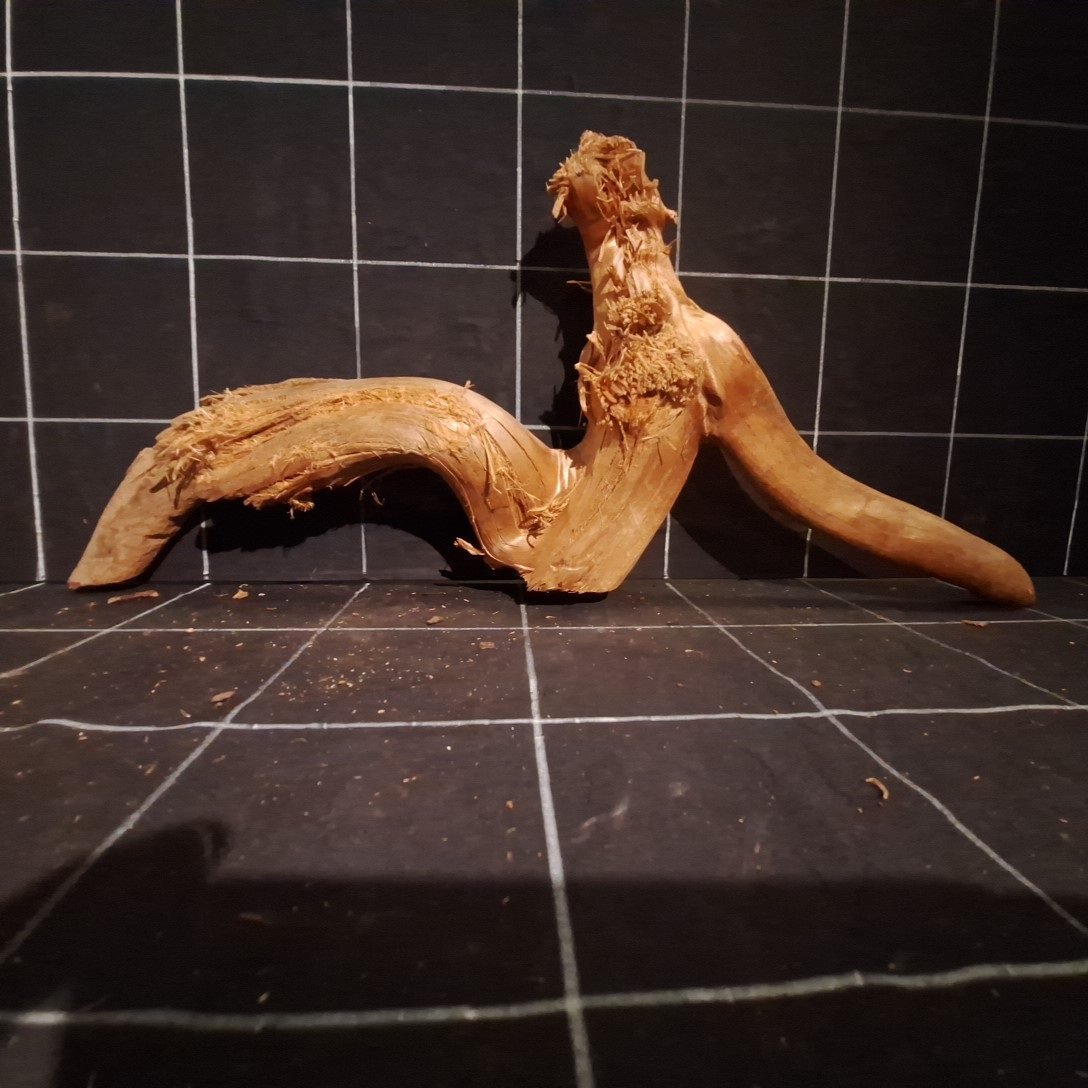 Tuskwood Akvarierot WYSIWYG Äkta Bogwood Unik 60 cm P292623 - Bild 5