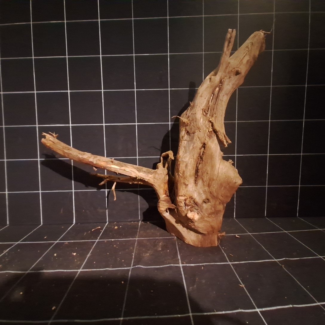 Tuskwood Akvarierot WYSIWYG Äkta Bogwood Unik 54 cm P302623 - Bild 5