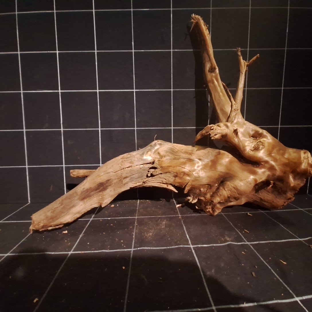 Tuskwood Akvarierot WYSIWYG Äkta Bogwood Unik 54 cm P302623 - Bild 6