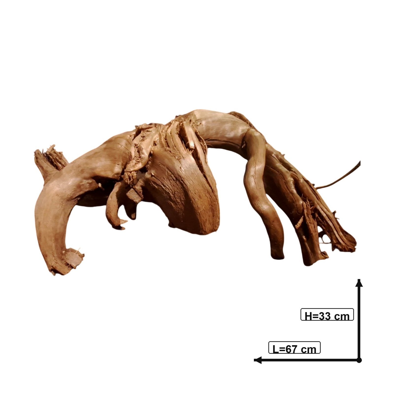 Tuskwood Akvarierot WYSIWYG Äkta Bogwood Unik 67 cm P312623 - Billede 3