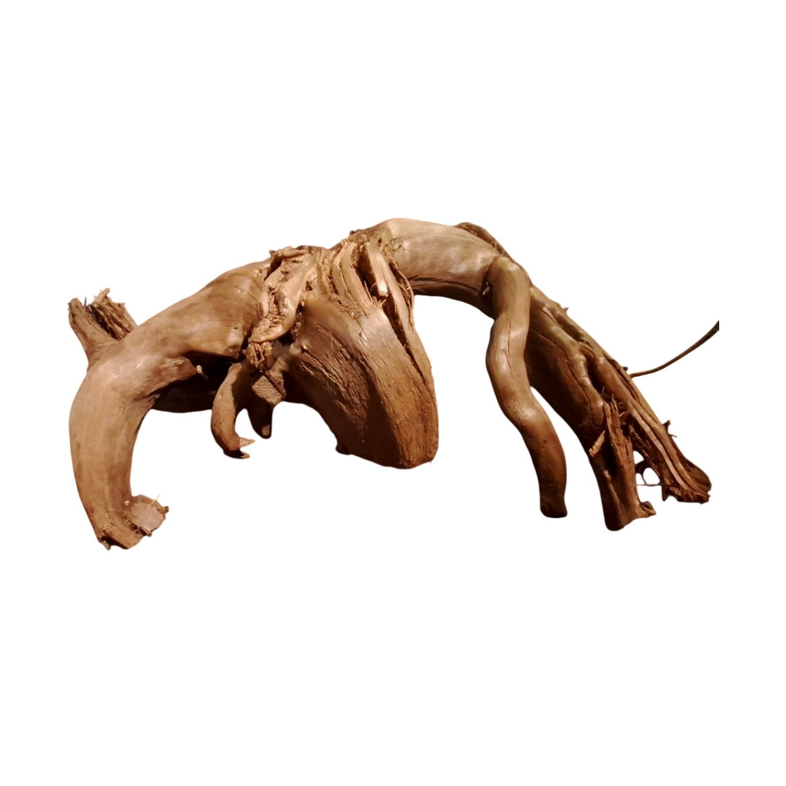 Tuskwood Akvarierot WYSIWYG Äkta Bogwood Unik 67 cm P312623 - Billede 7