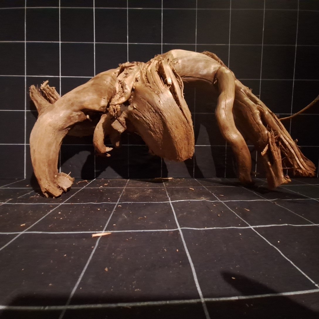 Tuskwood Akvarierot WYSIWYG Äkta Bogwood Unik 67 cm P312623 - Billede 4