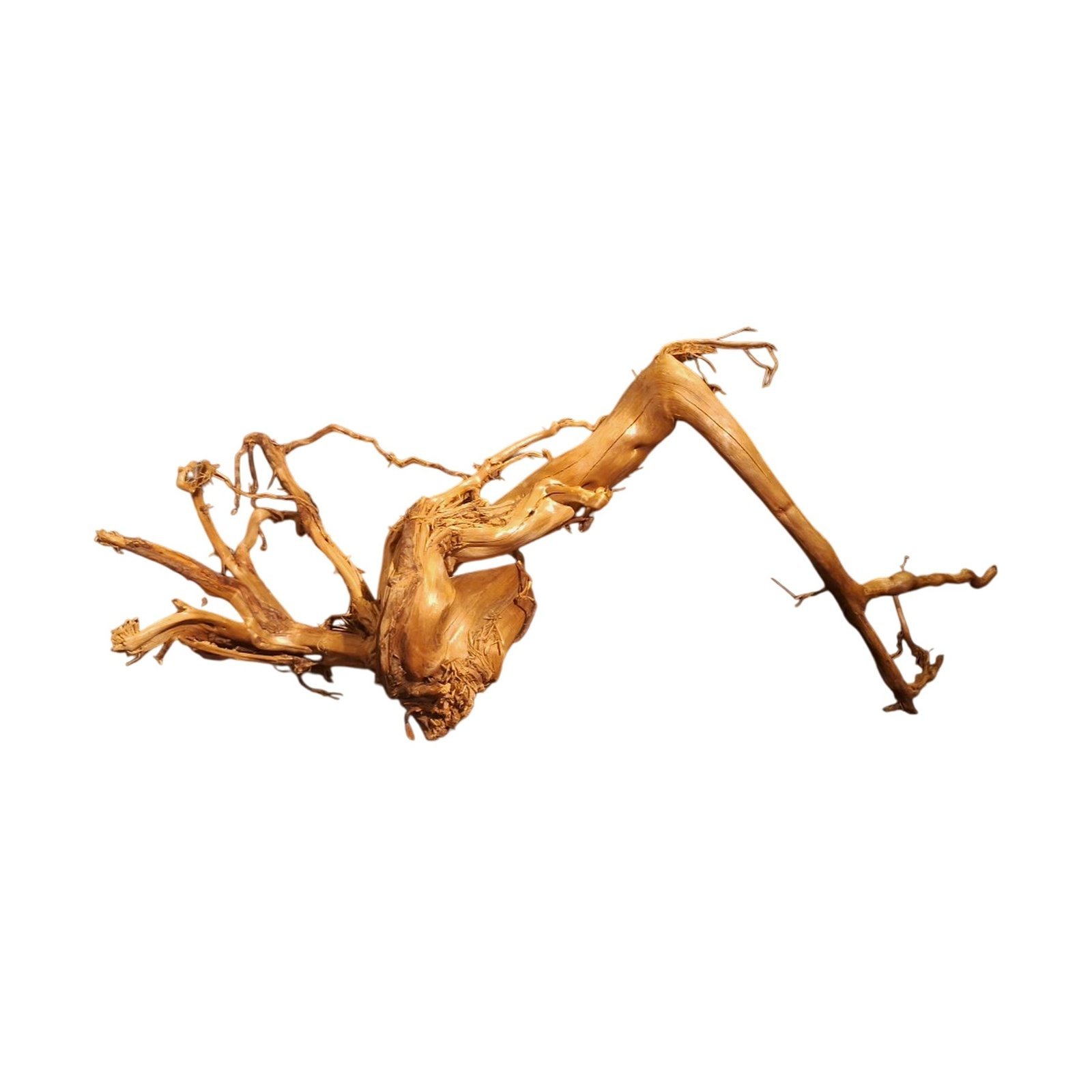 Tuskwood Akvarierot WYSIWYG Äkta Bogwood Unik 70 cm P322623 – Bild 6