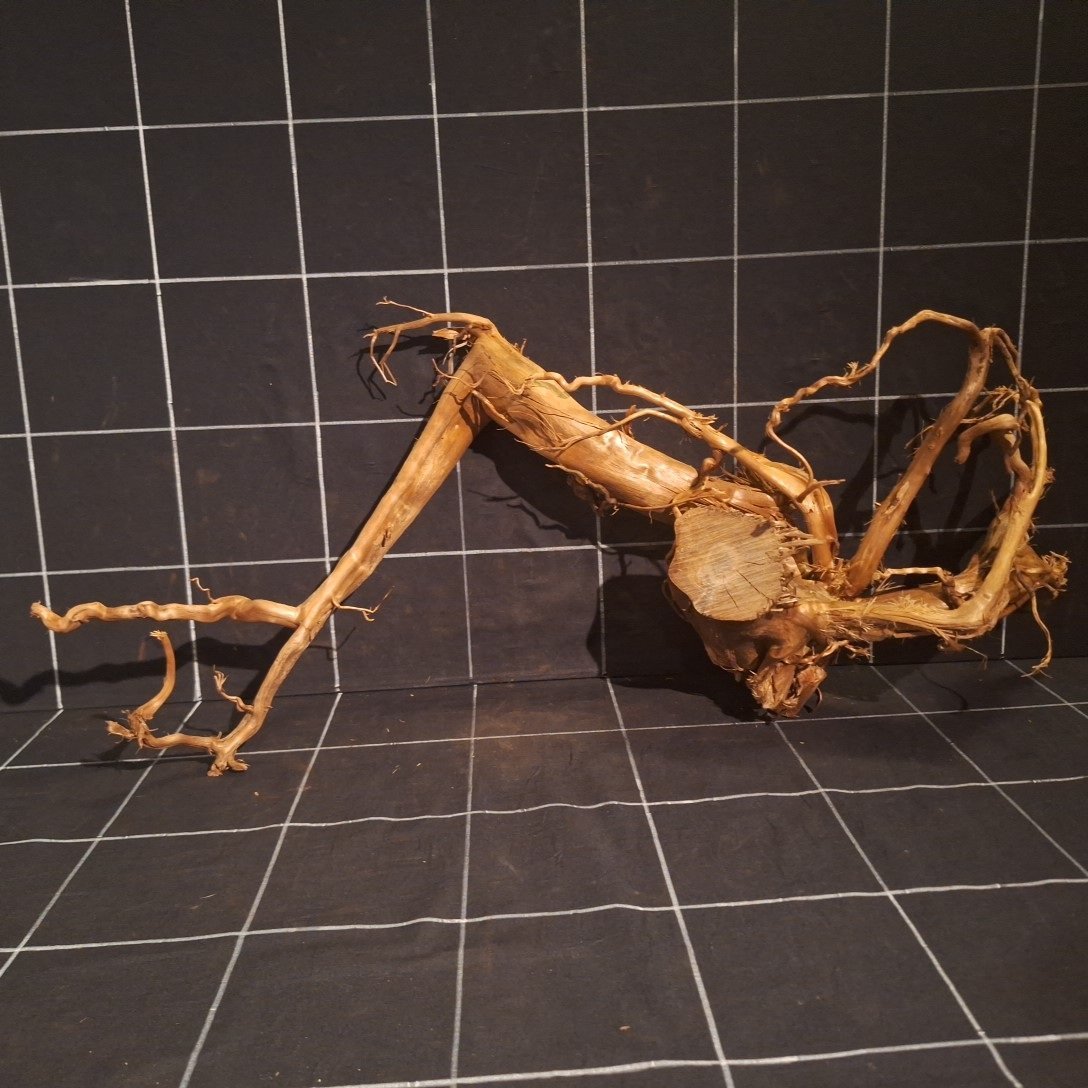 Tuskwood Akvarierot WYSIWYG Äkta Bogwood Unik 70 cm P322623 – Bild 5