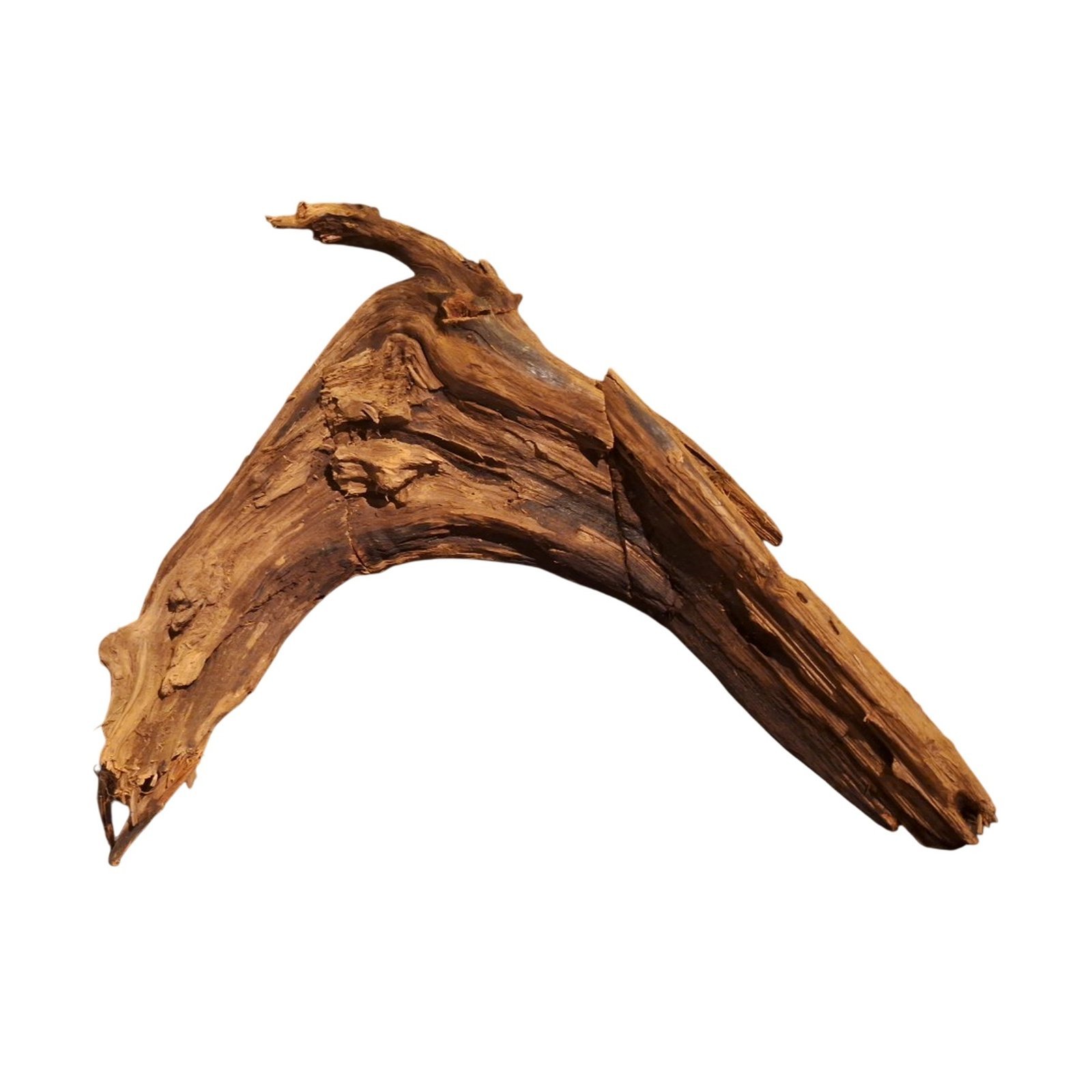 Tuskwood Akvarierot WYSIWYG Äkta Bogwood Unik 55 cm P342623 - obrazek 7