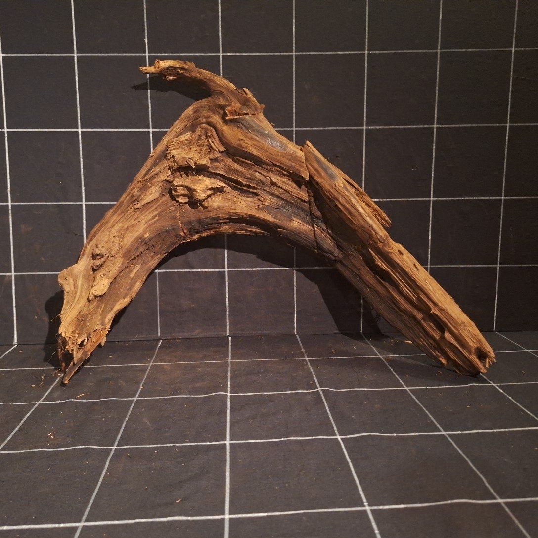 Tuskwood Akvarierot WYSIWYG Äkta Bogwood Unik 55 cm P342623 - obrazek 4