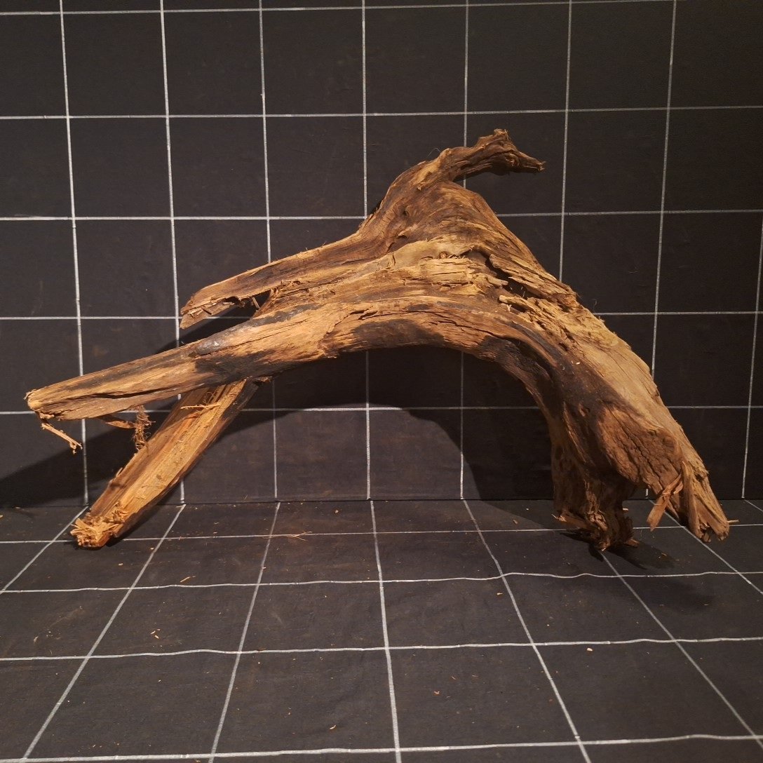 Tuskwood Akvarierot WYSIWYG Äkta Bogwood Unik 55 cm P342623 - obrazek 5