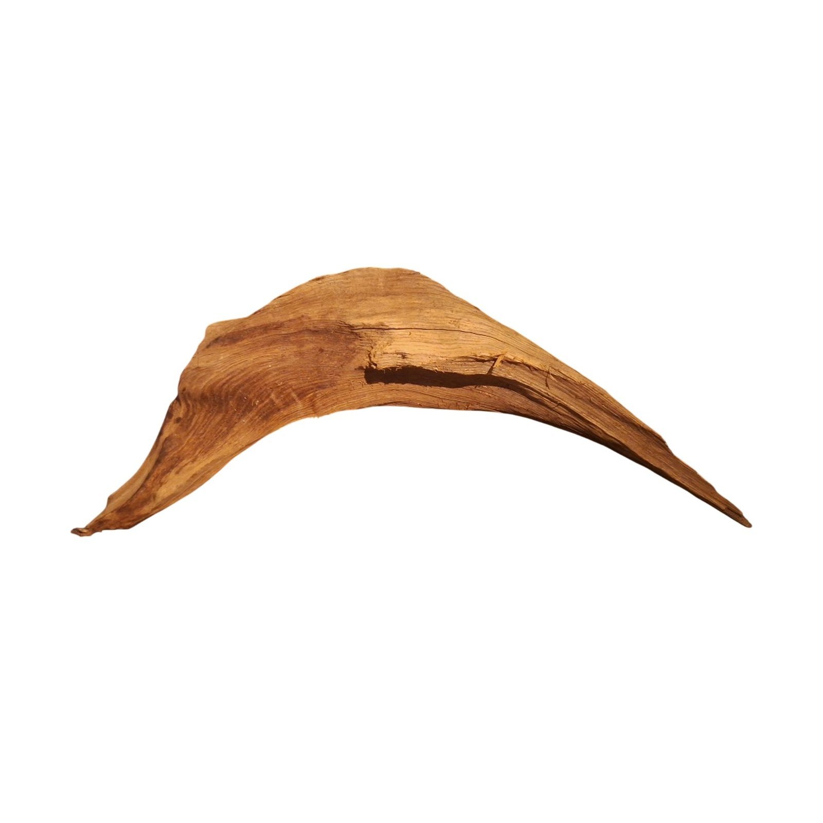 Tuskwood Akvarierot WYSIWYG Äkta Bogwood Unik 67 cm P352623 - obrazek 7