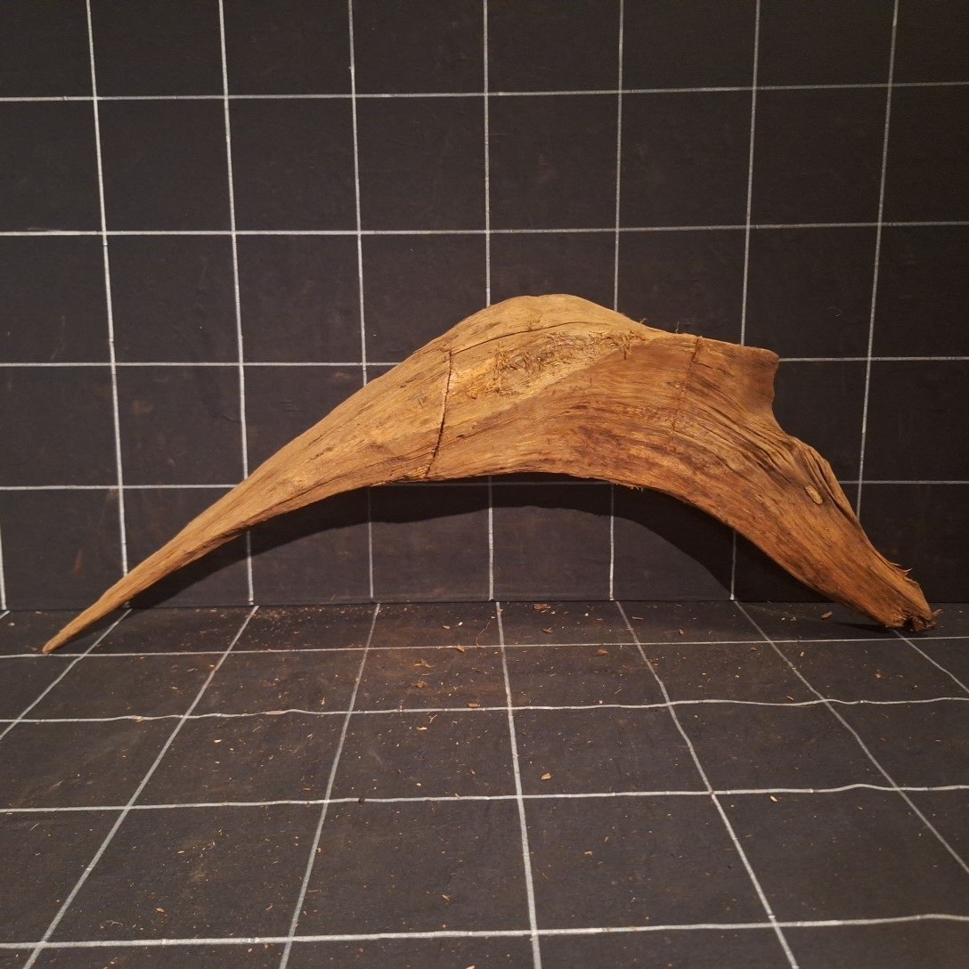 Tuskwood Akvarierot WYSIWYG Äkta Bogwood Unik 67 cm P352623 - obrazek 5