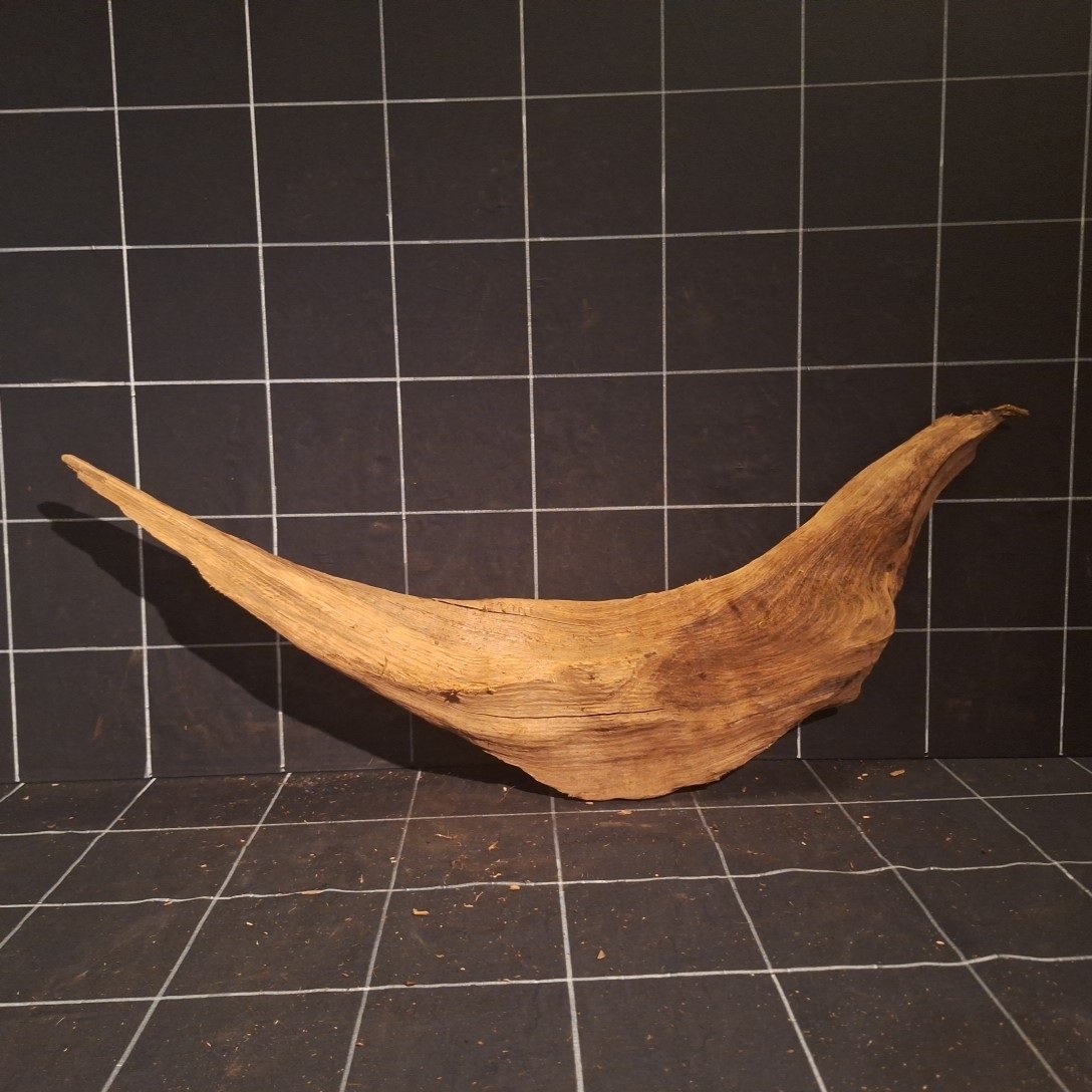 Tuskwood Akvarierot WYSIWYG Äkta Bogwood Unik 67 cm P352623 - obrazek 6