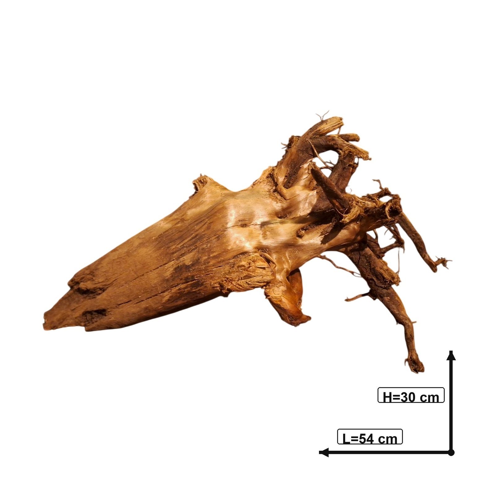 Tuskwood Akvarierot WYSIWYG Äkta Bogwood Unik 54 cm P362623 - Billede 3