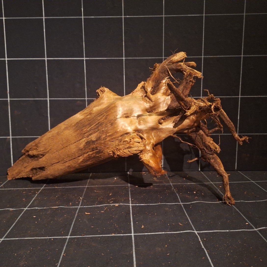 Tuskwood Akvarierot WYSIWYG Äkta Bogwood Unik 54 cm P362623 - Billede 4