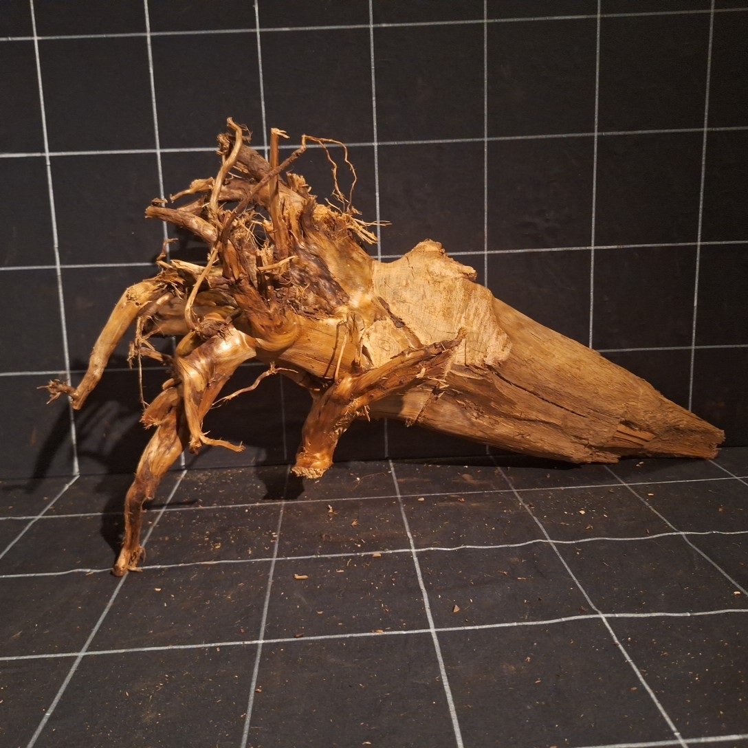 Tuskwood Akvarierot WYSIWYG Äkta Bogwood Unik 54 cm P362623 - Billede 5