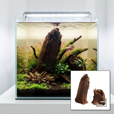 Tuskwood Korzeń akwariowy Zestaw 2 sztuk WYSIWYG Genuine Bogwood Unique 42 cm S2012623