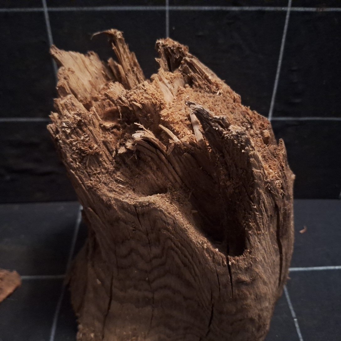 Tuskwood Akvarierot Set om 2 delar WYSIWYG Äkta Bogwood Unik 42 cm S2012623 - obrazek 5