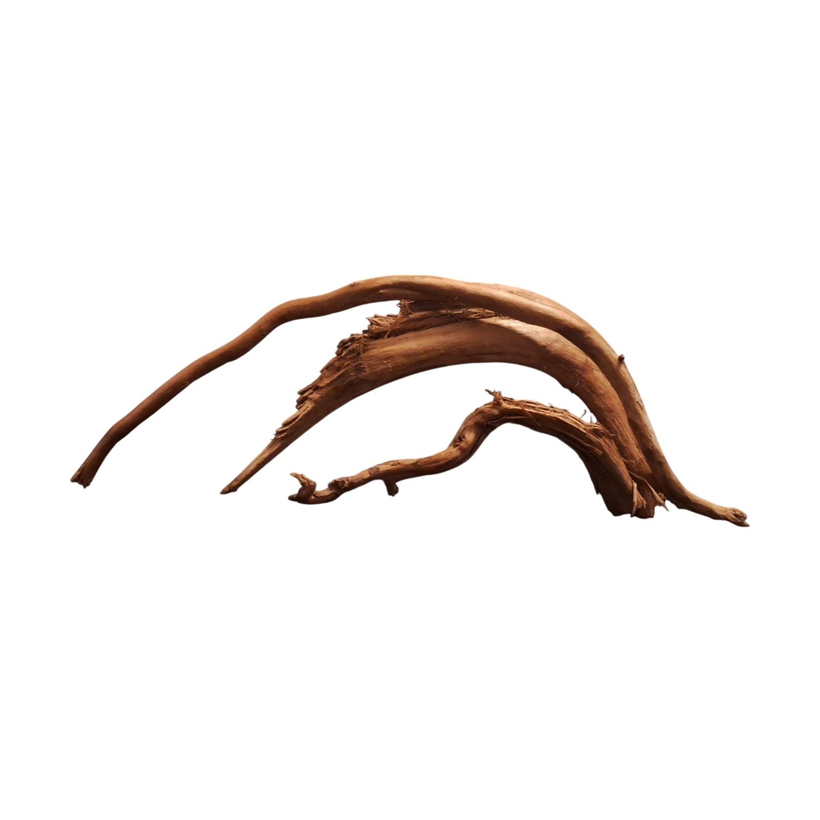 Tuskwood Akvarierot Set om 3 delar WYSIWYG Äkta Bogwood Unik 61 cm S3112623 - Bild 6