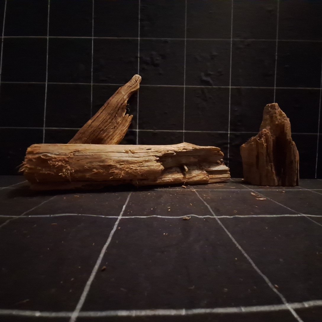 Tuskwood Akvarierot Set om 3 delar WYSIWYG Äkta Bogwood Unik 48 cm S3202623 – Bild 4