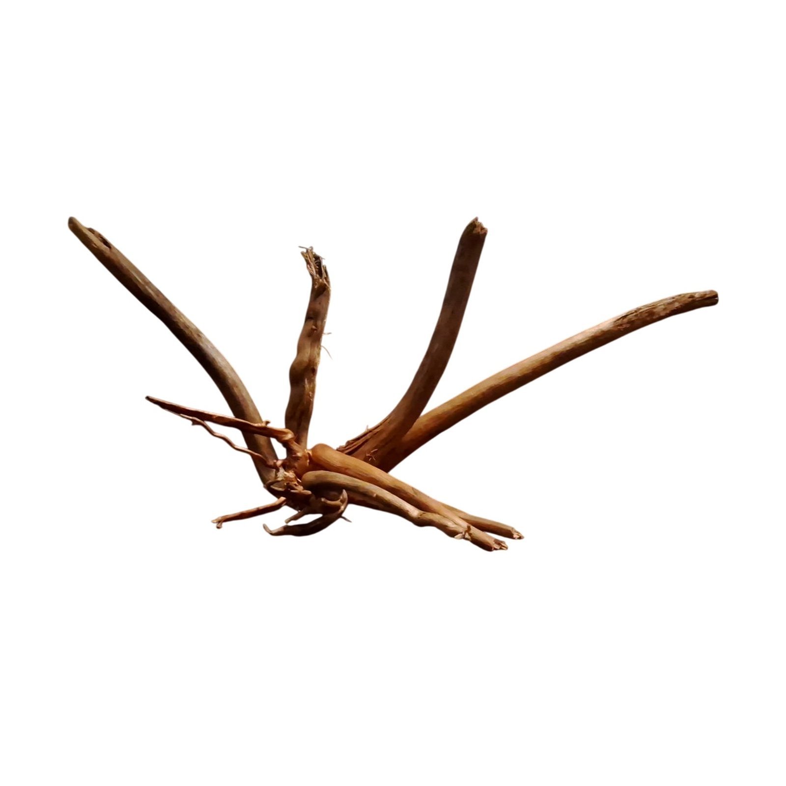 Tuskwood Akvarierot Set om 4 delar WYSIWYG Äkta Bogwood Unik 51 cm S4212623 – Image 7