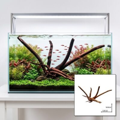 Tuskwood Akvarierod Sæt med 4 stykker WYSIWYG Ægte Bogwood Unique 51 cm S4212623